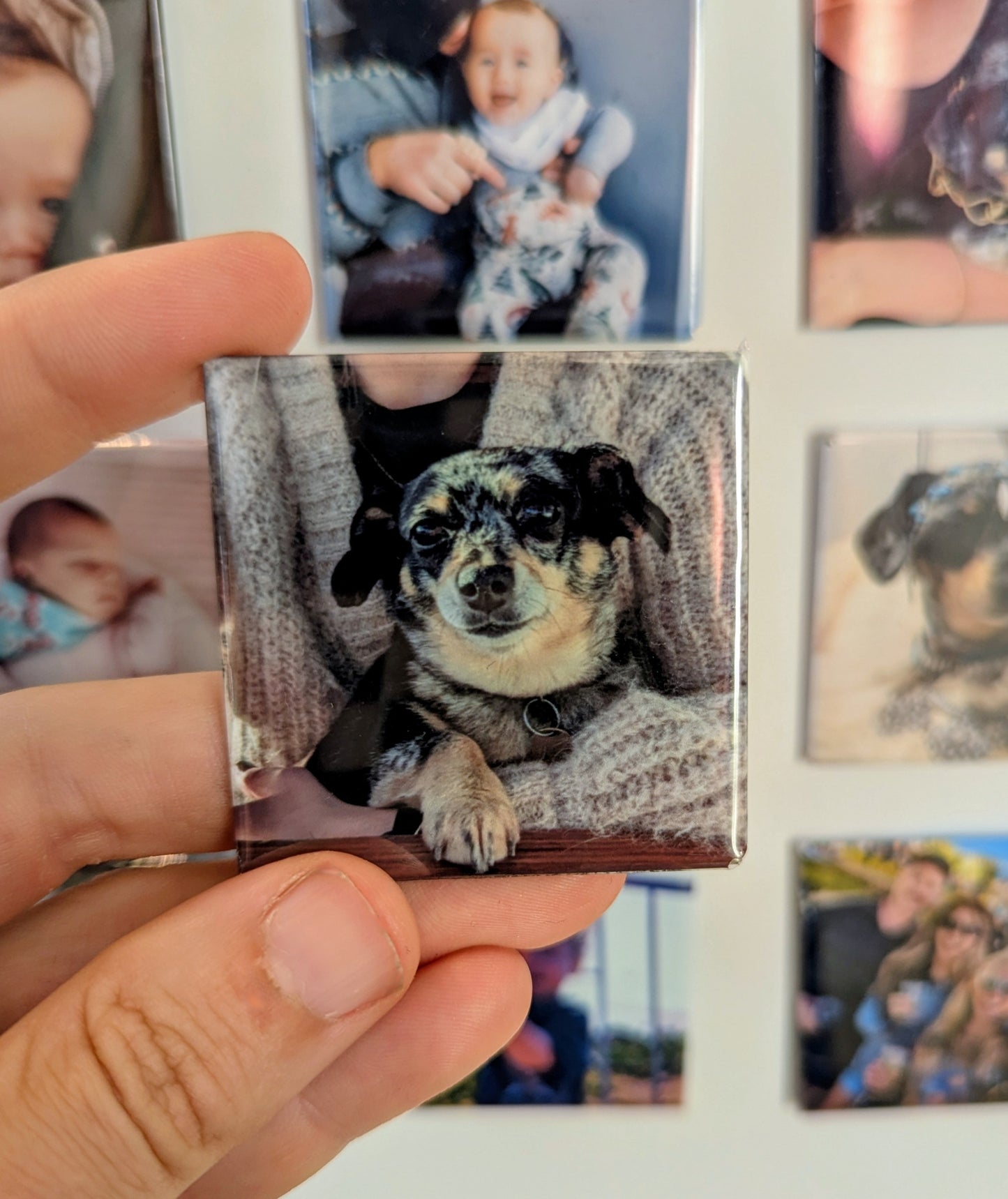 Custom Photo Magnets - Upload Your Image